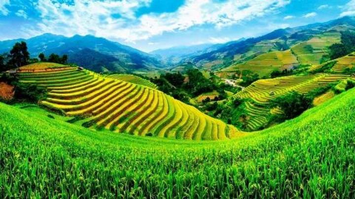 Từ 0 đến Triệu View: Chinh Phục Thị Trường Video Ngắn Cùng Hotspot Matrix